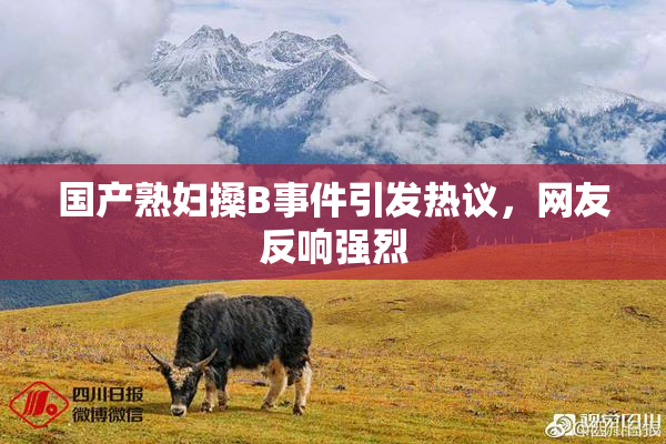 国产熟妇搡B事件引发热议，网友反响强烈