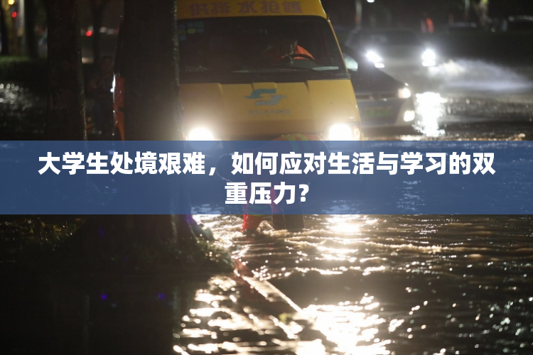 大学生处境艰难，如何应对生活与学习的双重压力？