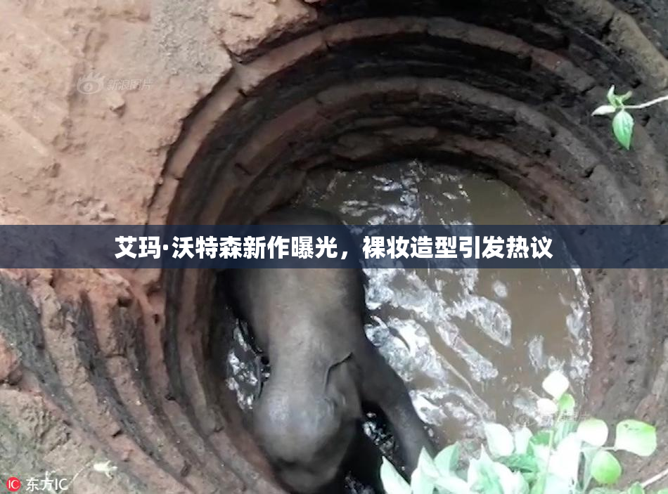 艾玛·沃特森新作曝光，裸妆造型引发热议