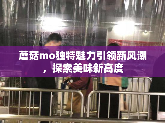蘑菇mo独特魅力引领新风潮，探索美味新高度