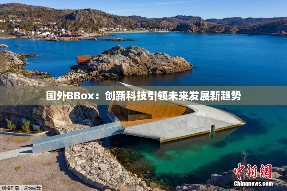 国外BBox：创新科技引领未来发展新趋势