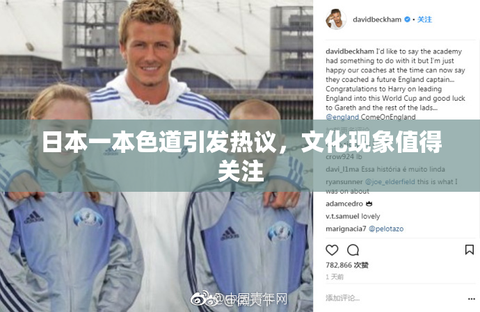 日本一本色道引发热议，文化现象值得关注