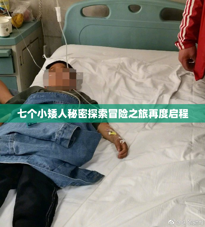 七个小矮人秘密探索冒险之旅再度启程