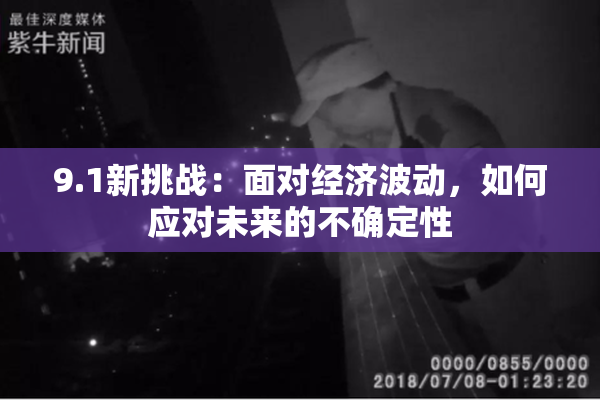 9.1新挑战：面对经济波动，如何应对未来的不确定性