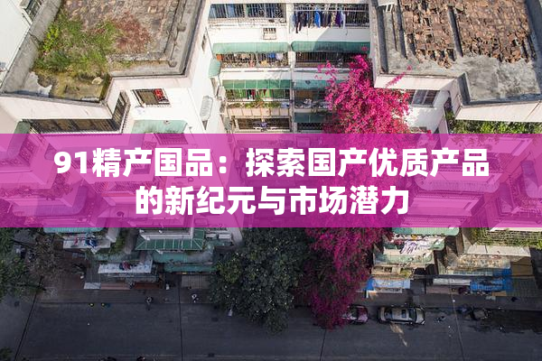 91精产国品：探索国产优质产品的新纪元与市场潜力