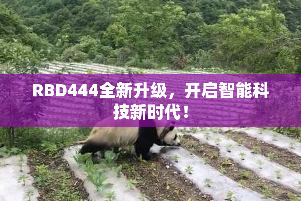 RBD444全新升级，开启智能科技新时代！