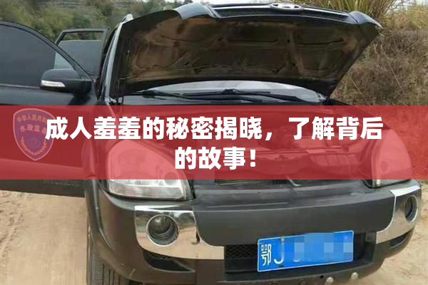 成人羞羞的秘密揭晓，了解背后的故事！