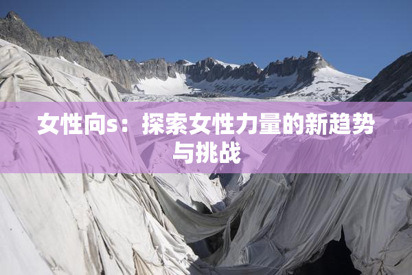 女性向s：探索女性力量的新趋势与挑战