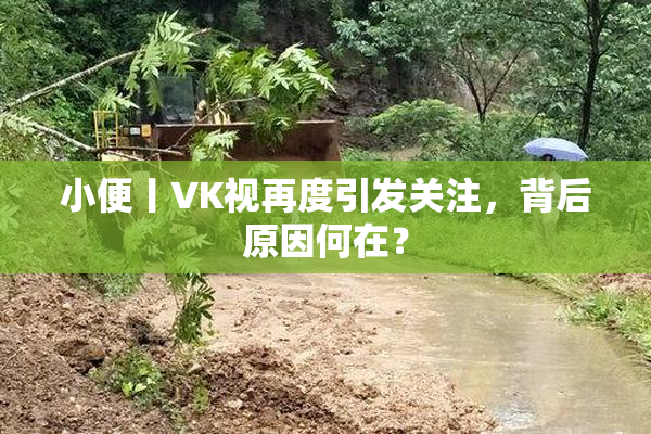 小便丨VK视再度引发关注，背后原因何在？