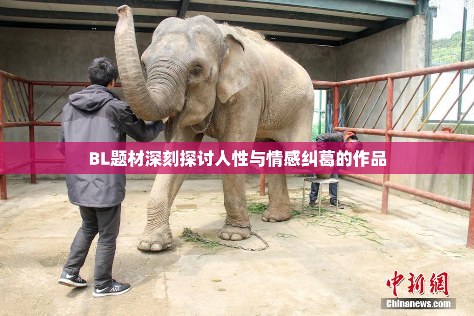 BL题材深刻探讨人性与情感纠葛的作品