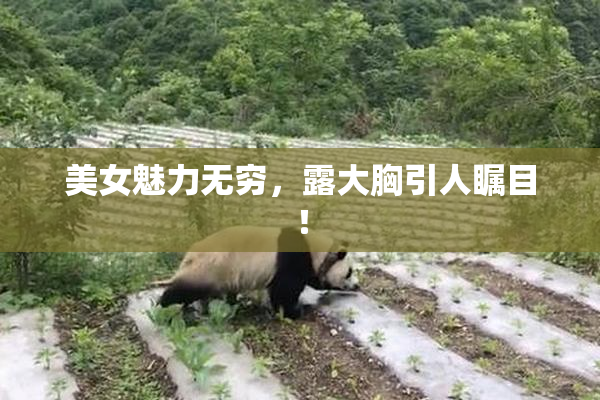 美女魅力无穷，露大胸引人瞩目！