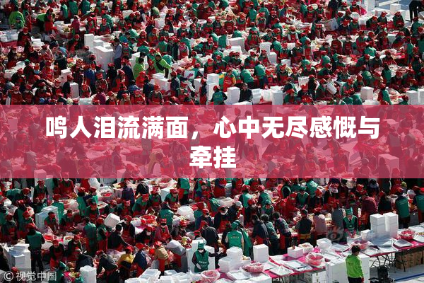 鸣人泪流满面，心中无尽感慨与牵挂