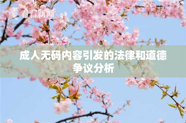 成人无码内容引发的法律和道德争议分析