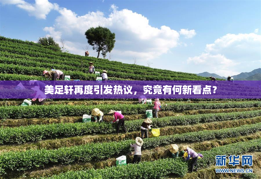 美足轩再度引发热议，究竟有何新看点？