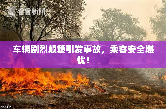 车辆剧烈颠簸引发事故，乘客安全堪忧！