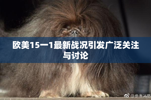 欧美15一1最新战况引发广泛关注与讨论