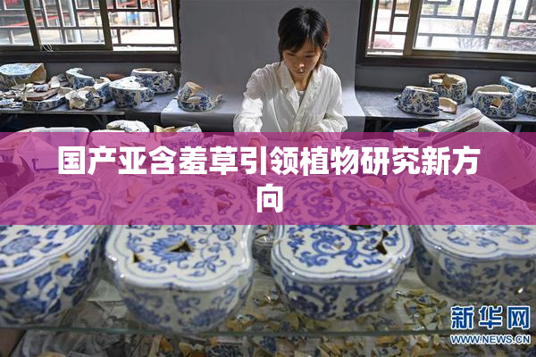 国产亚含羞草引领植物研究新方向