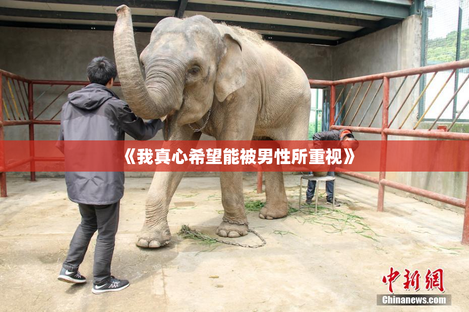 《我真心希望能被男性所重视》