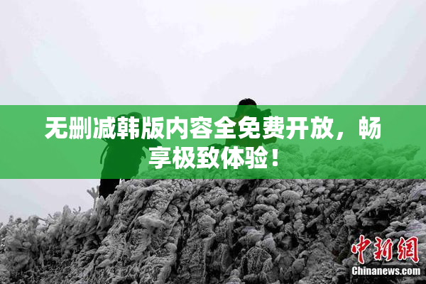 无删减韩版内容全免费开放，畅享极致体验！