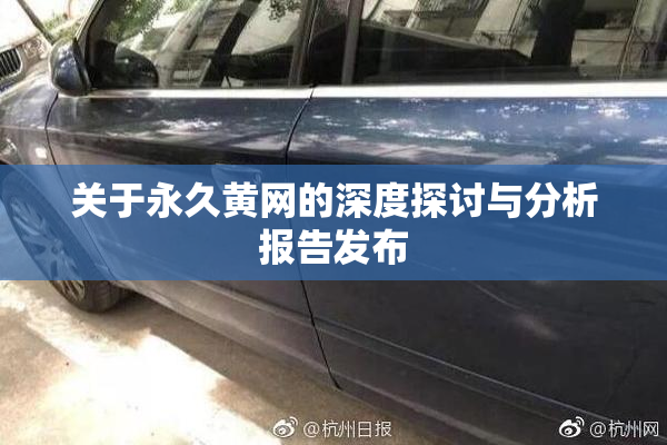 关于永久黄网的深度探讨与分析报告发布
