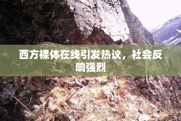 西方裸体在线引发热议，社会反响强烈