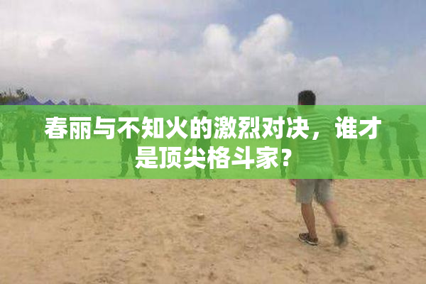 春丽与不知火的激烈对决，谁才是顶尖格斗家？