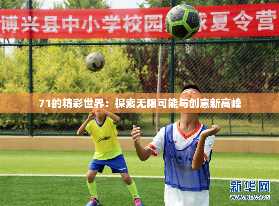 71的精彩世界：探索无限可能与创意新高峰