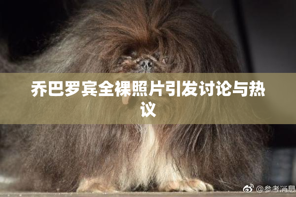 乔巴罗宾全裸照片引发讨论与热议