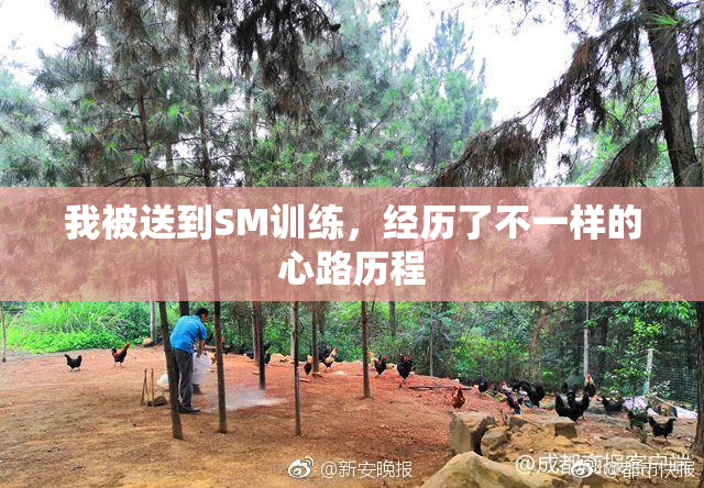 我被送到SM训练，经历了不一样的心路历程