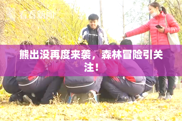 熊出没再度来袭，森林冒险引关注！