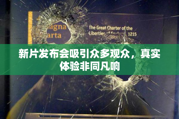 新片发布会吸引众多观众，真实体验非同凡响