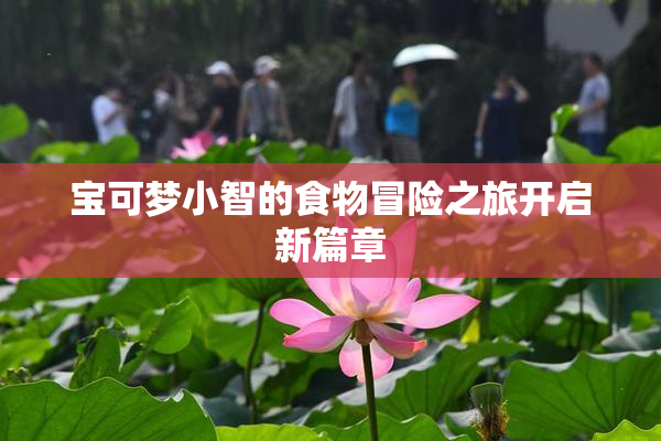 宝可梦小智的食物冒险之旅开启新篇章