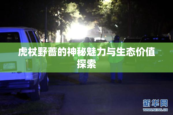 虎杖野蔷的神秘魅力与生态价值探索