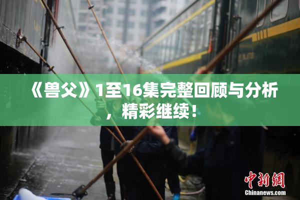 《兽父》1至16集完整回顾与分析，精彩继续！