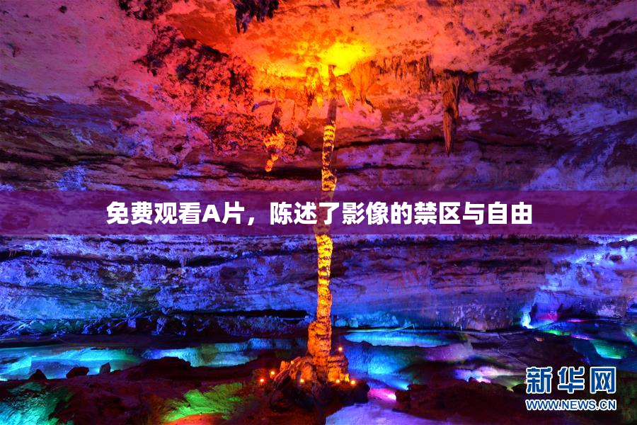 免费观看A片，陈述了影像的禁区与自由