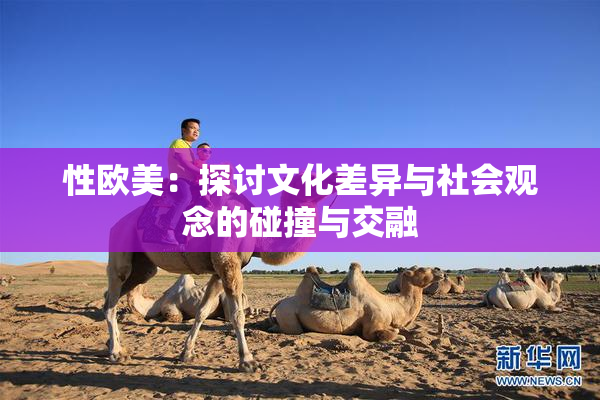 性欧美：探讨文化差异与社会观念的碰撞与交融