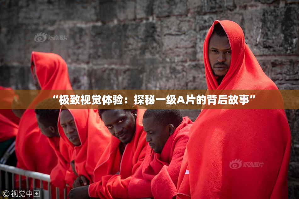 “极致视觉体验：探秘一级A片的背后故事”