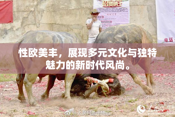 性欧美丰，展现多元文化与独特魅力的新时代风尚。