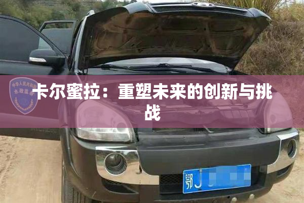卡尔蜜拉：重塑未来的创新与挑战