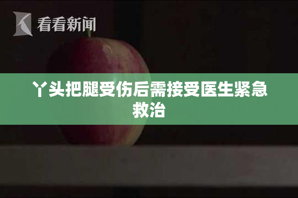 丫头把腿受伤后需接受医生紧急救治