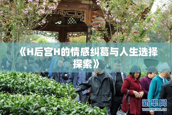 《H后宫H的情感纠葛与人生选择探索》