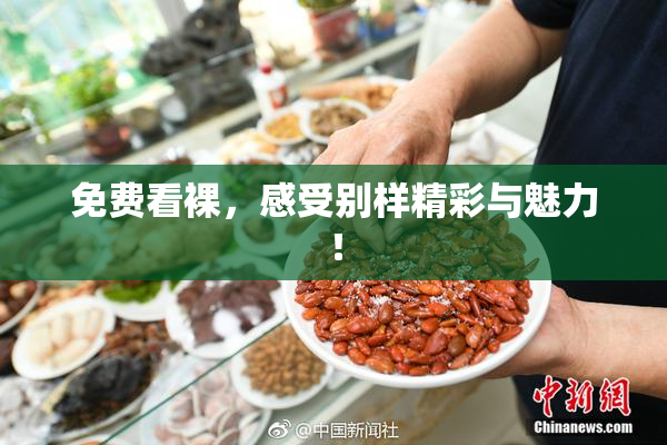 免费看裸，感受别样精彩与魅力！