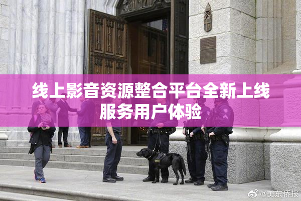 线上影音资源整合平台全新上线服务用户体验