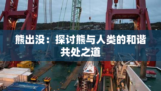 熊出没：探讨熊与人类的和谐共处之道