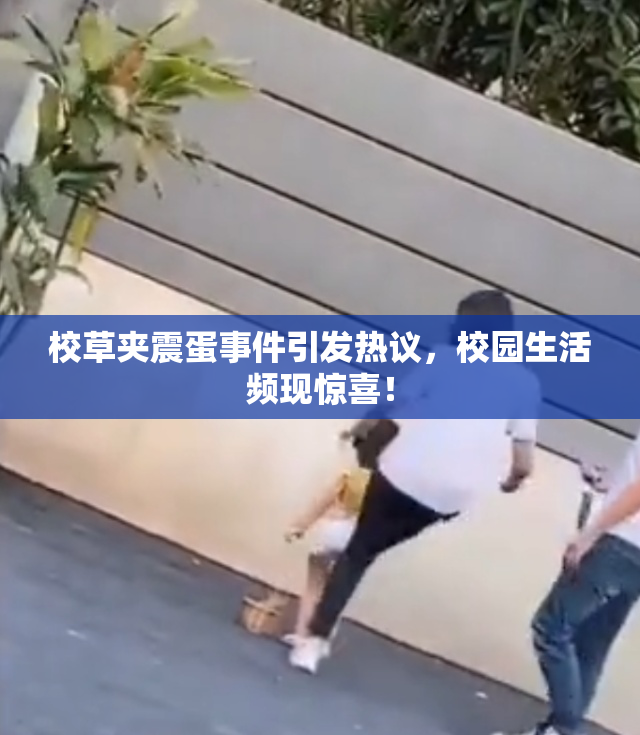 校草夹震蛋事件引发热议，校园生活频现惊喜！