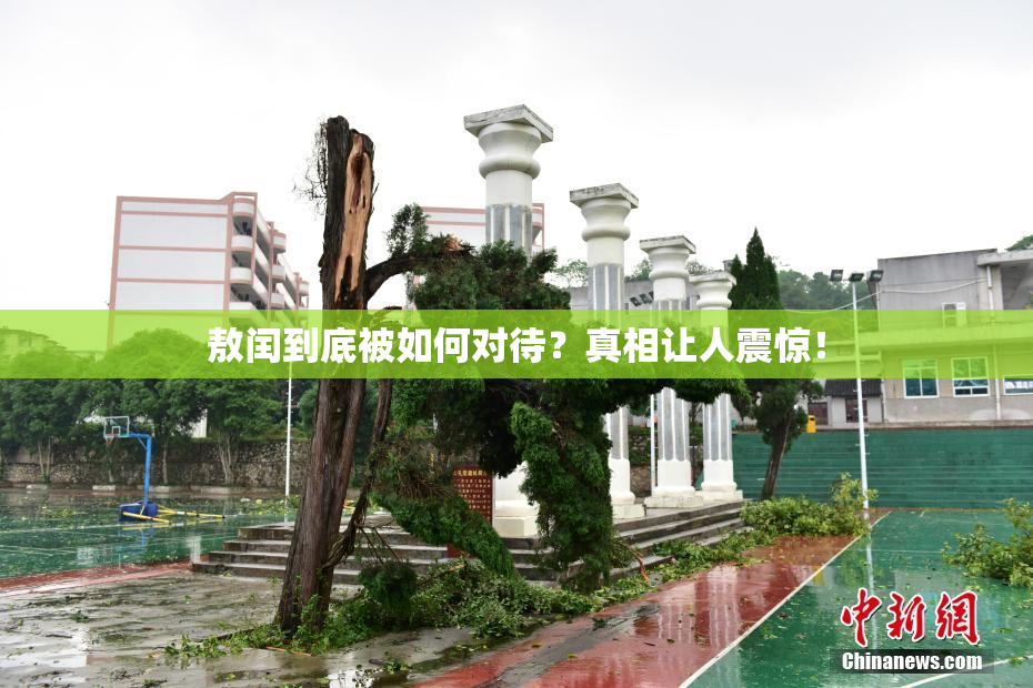 敖闰到底被如何对待？真相让人震惊！