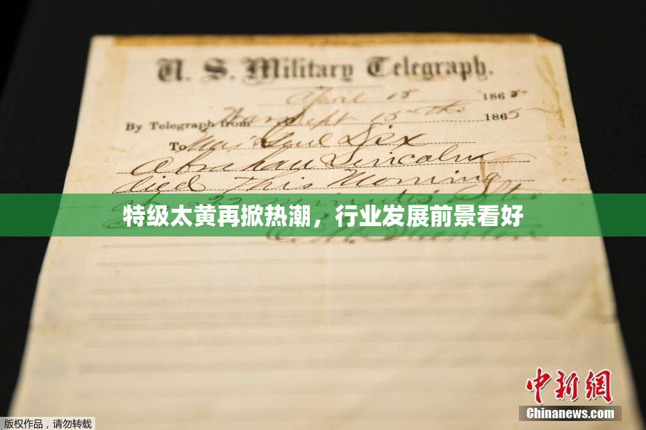 特级太黄再掀热潮，行业发展前景看好