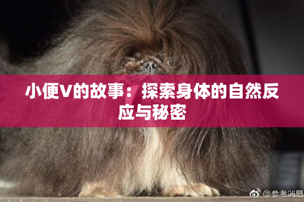 小便V的故事：探索身体的自然反应与秘密