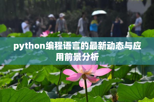 python编程语言的最新动态与应用前景分析