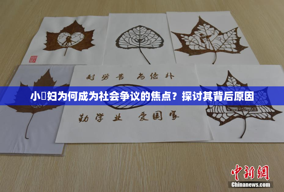 小婬妇为何成为社会争议的焦点？探讨其背后原因